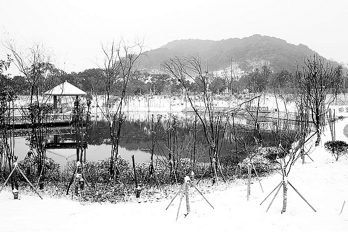 곤ɳѩ