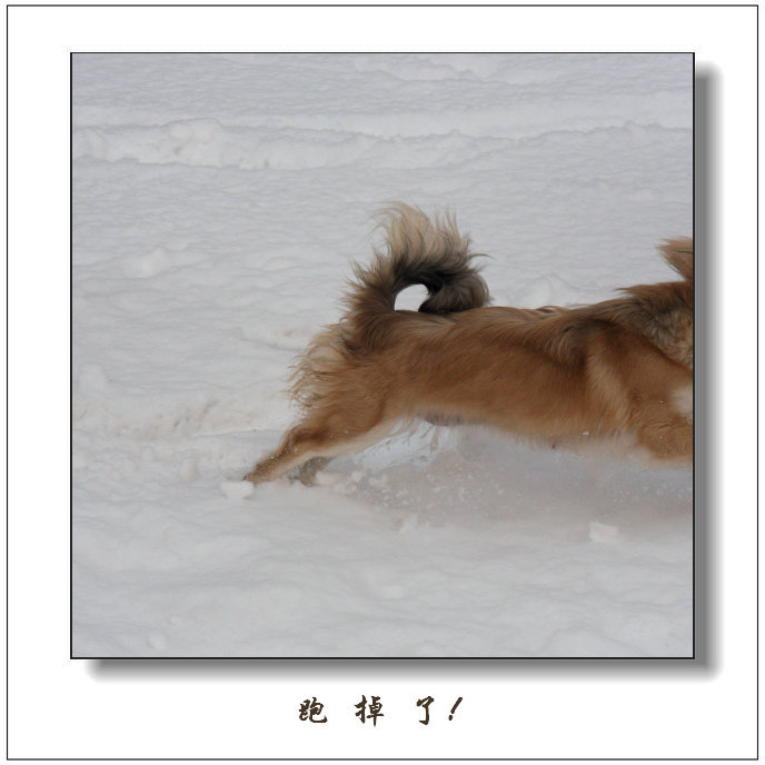 ѩ