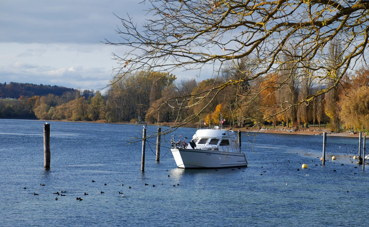 ɫʿSTEIN AM RHEIN