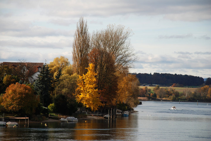 ɫʿSTEIN AM RHEIN