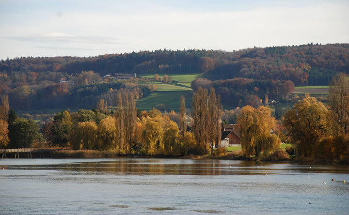 ɫʿSTEIN AM RHEIN