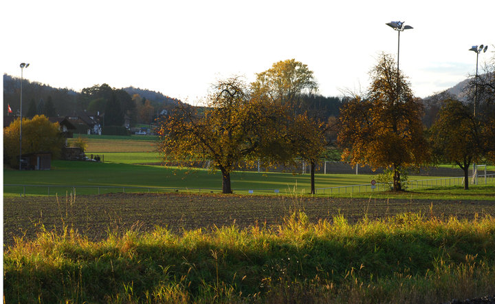 ɫʿSTEIN AM RHEIN