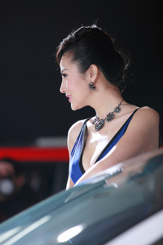 2011ʳչ