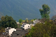 春色满山村---查平坦