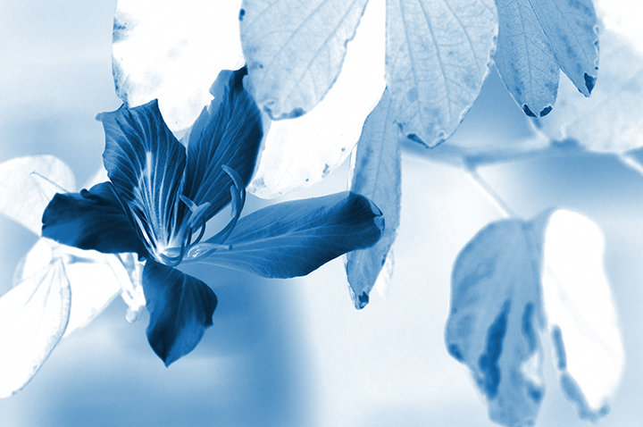 2011ĵһϾ