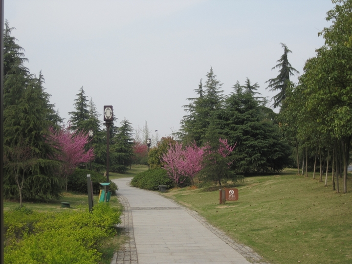 龍游江濱公園美景