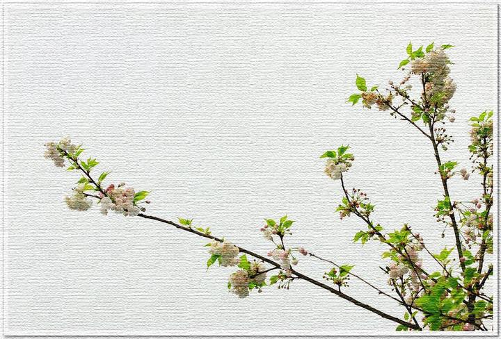 ҹ׹ͥ£