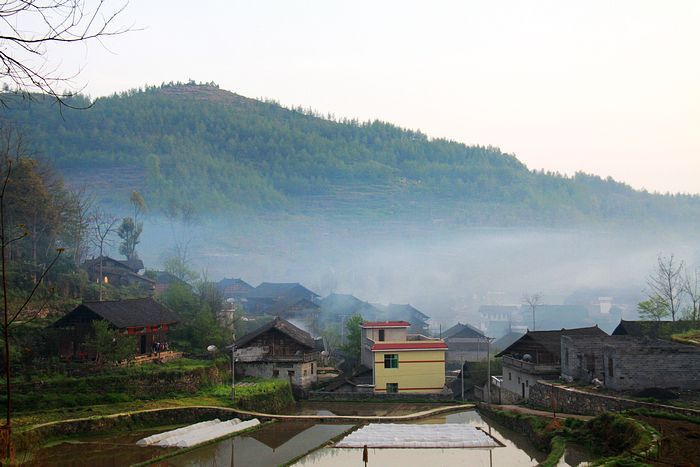 볿