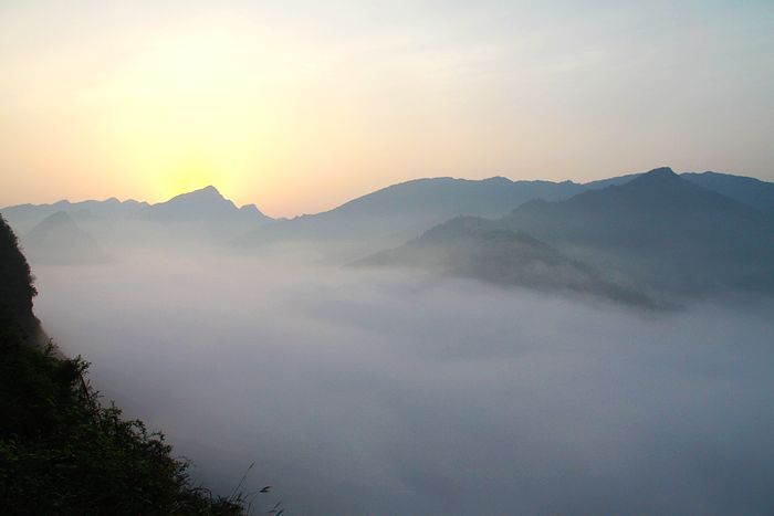 볿