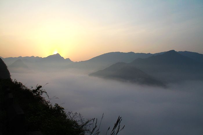 볿