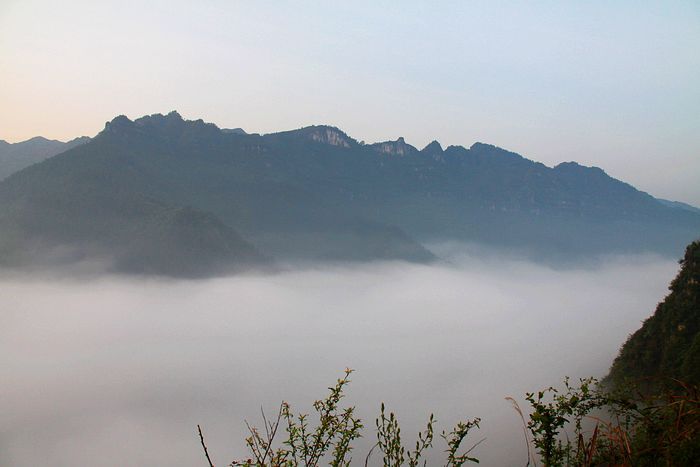 볿