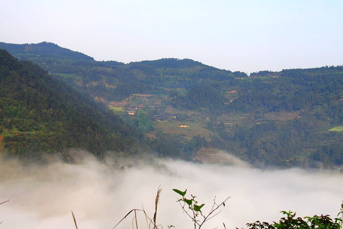 볿