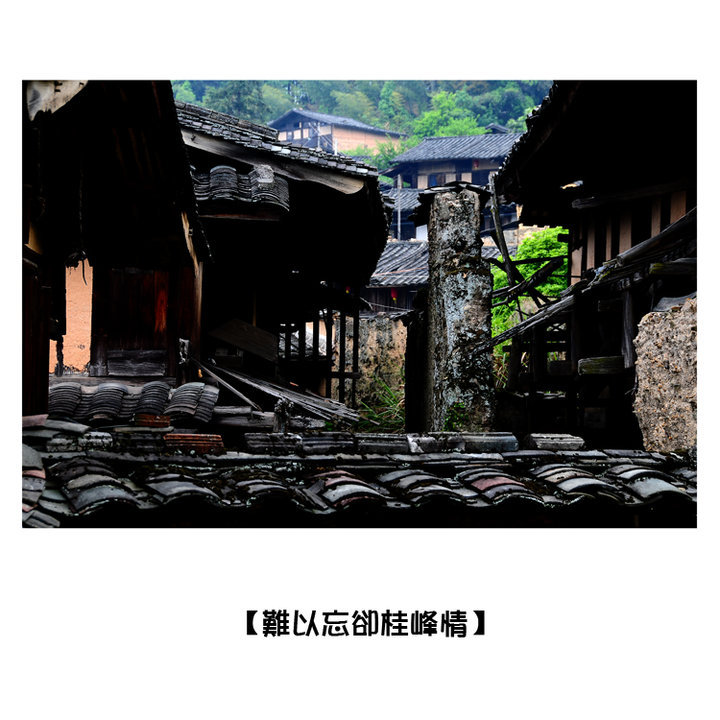 ȴ顿1
