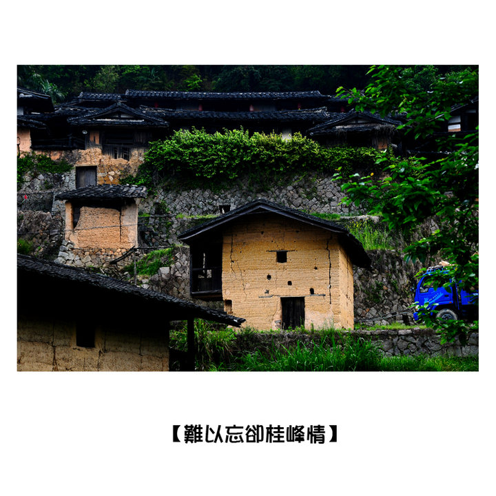 ȴ顿1