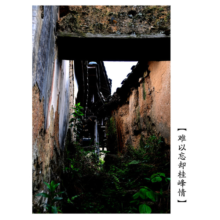 ȴ顿1