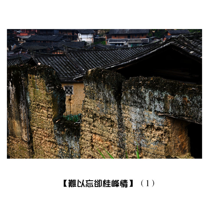 ȴ顿1