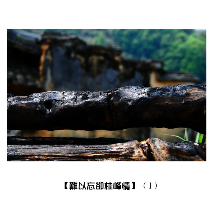 ȴ顿1