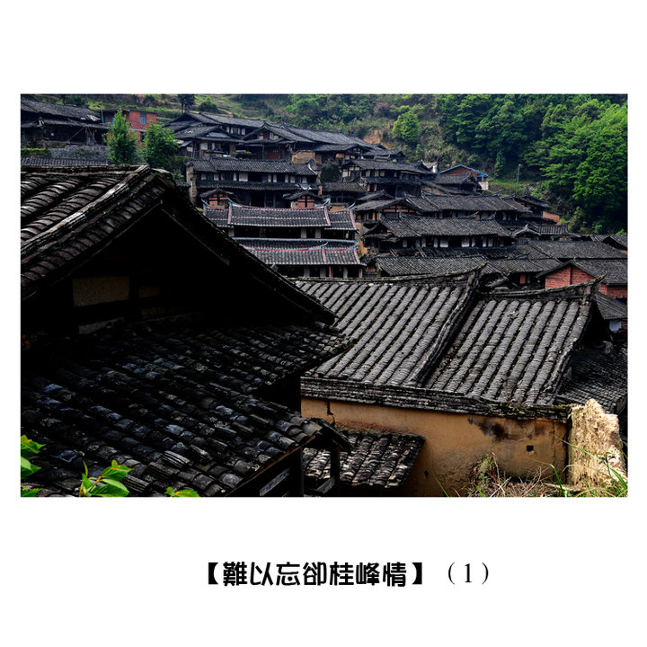 ȴ顿1