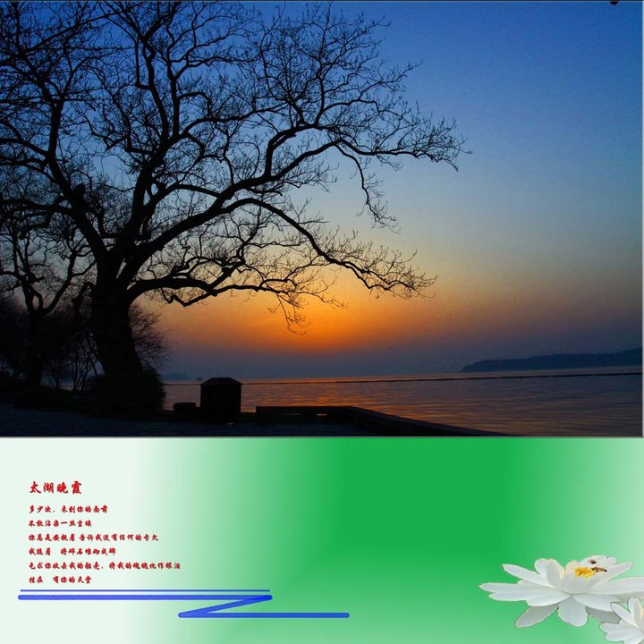 ʮ