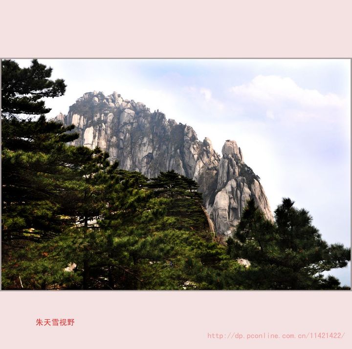 ɽ黳