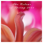 the colour of spring 2011