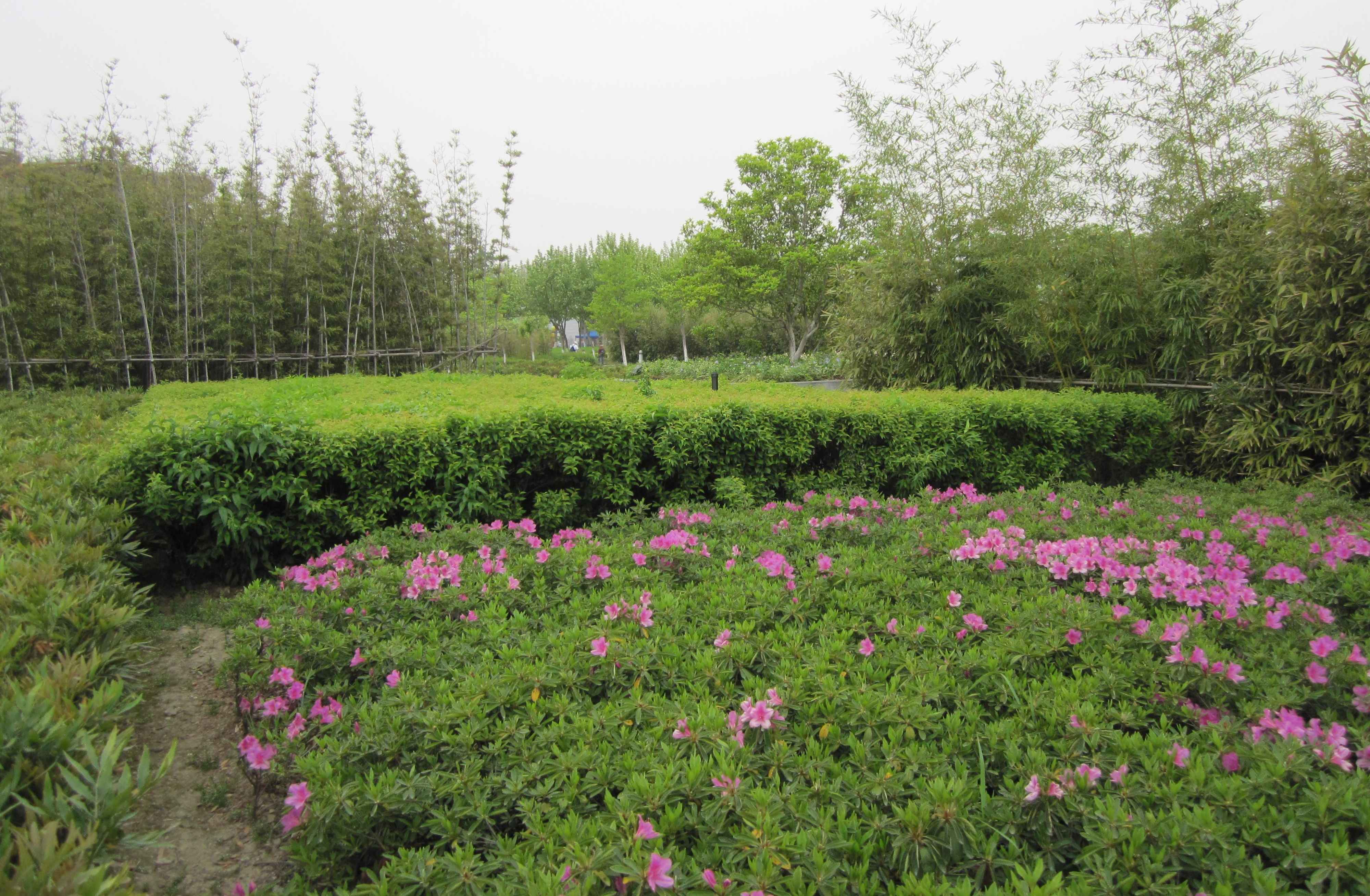 苏州白塘植物园图片
