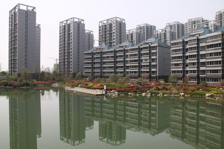 新郑市天鹅湖畔图片