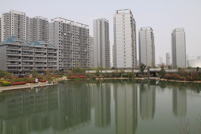 新郑市天鹅湖畔图片