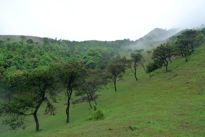 阳春八排山风景区图片