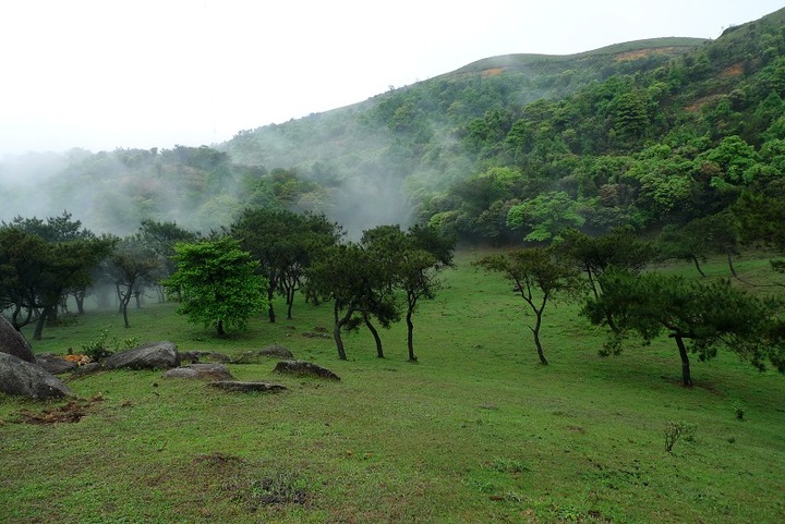 阳春八排山风景区图片