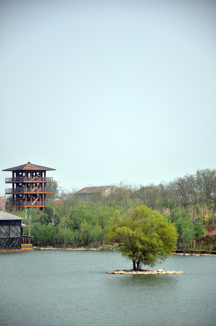 潍坊湿地公园图片图片