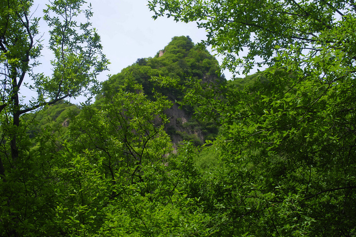 Ծϴİ
