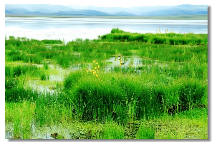 ϣǲԭ(Western Sichuan-Southern Gansu)