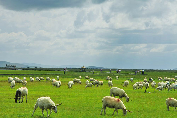 ϣǲԭ(Western Sichuan-Southern Gansu)