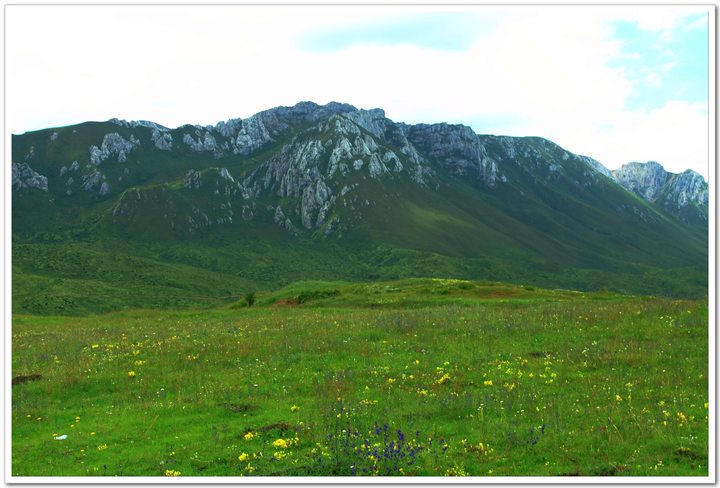 ϣǲԭ(Western Sichuan-Southern Gansu)