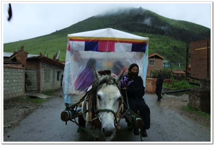 ϣǲԭ(Western Sichuan-Southern Gansu)