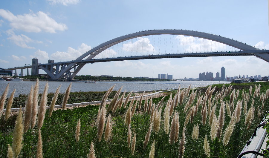 上海盧浦大橋