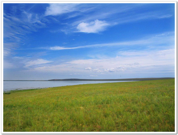 ĺرԭ(Hulunber Prairie in Nei Meng Province )