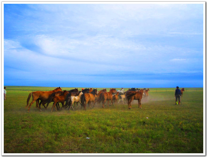 ĺرԭ(Hulunber Prairie in Nei Meng Province )