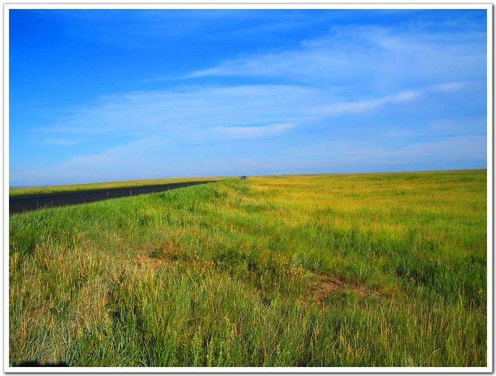 ĺرԭ(Hulunber Prairie in Nei Meng Province )