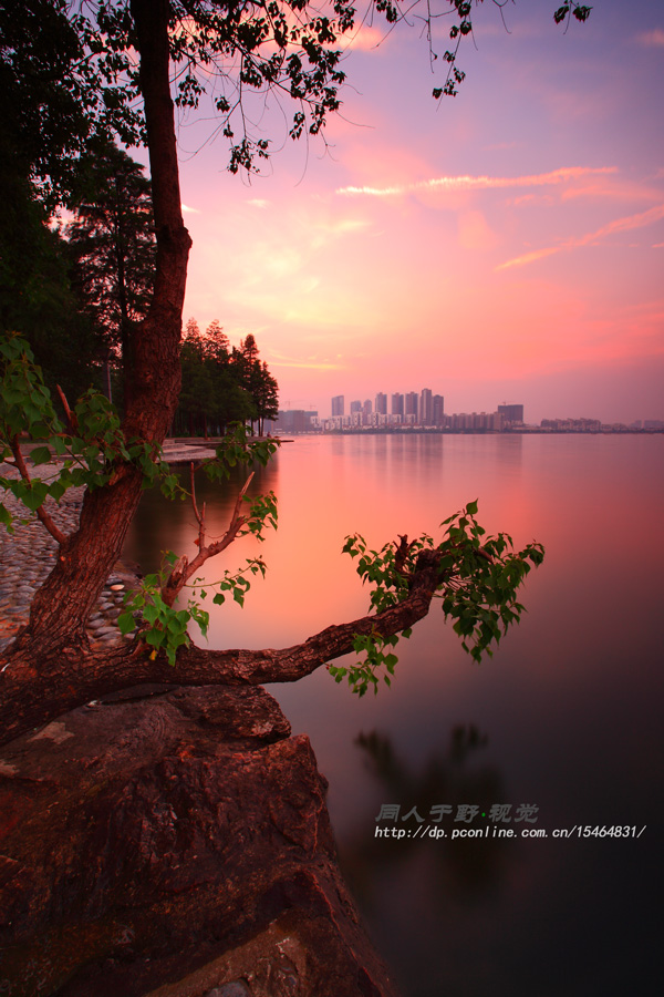武汉南湖照片图片
