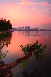 武汉南湖-和谐之美