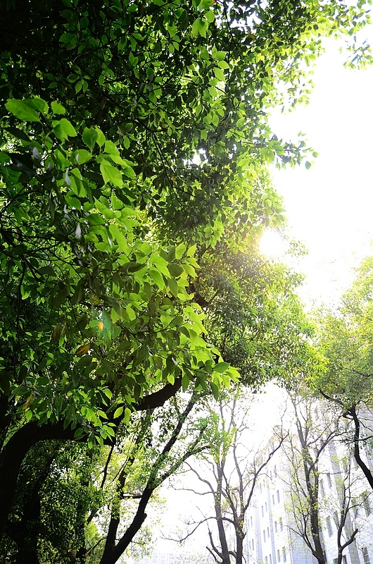 ԰ɷ_2011.04.23