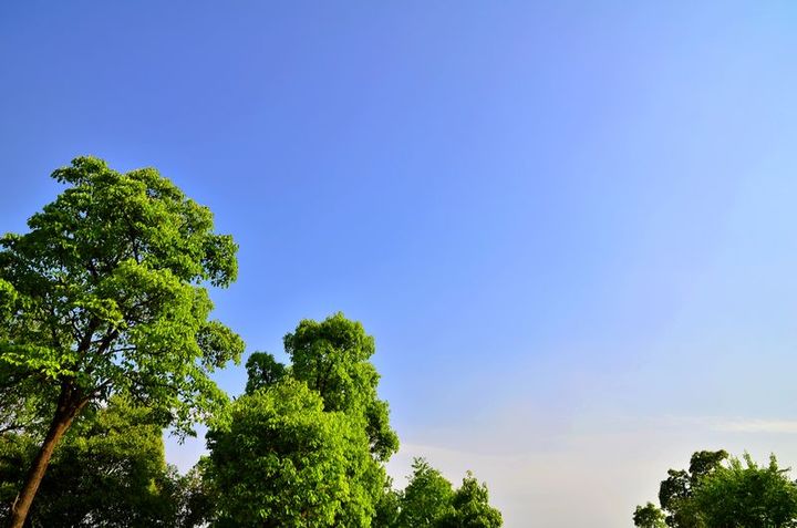 ԰ɷ_2011.04.23