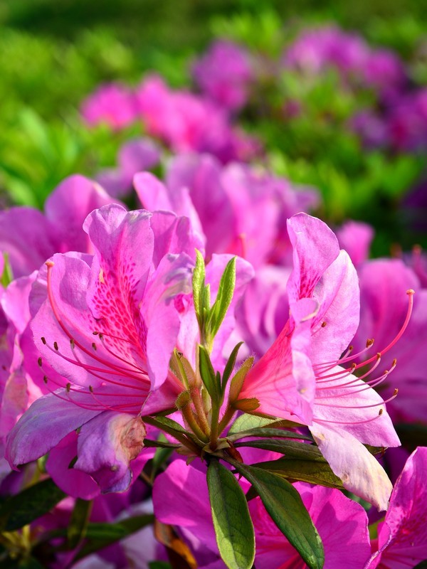 ԰ɷ_2011.04.23