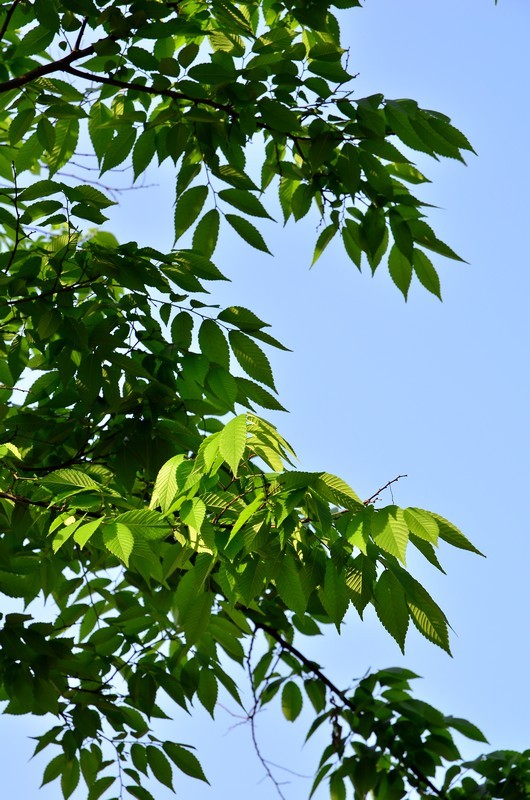 ԰ɷ_2011.04.23