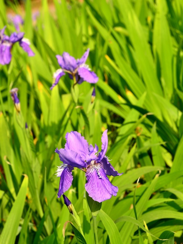԰ɷ_2011.04.23