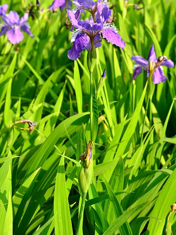 ԰ɷ_2011.04.23