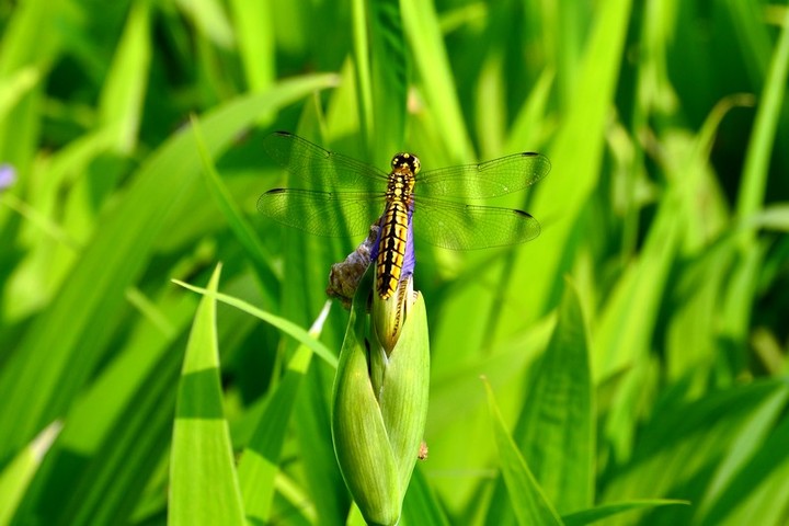 ԰ɷ_2011.04.23