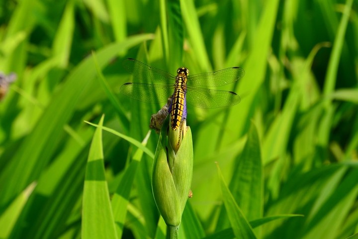 ԰ɷ_2011.04.23